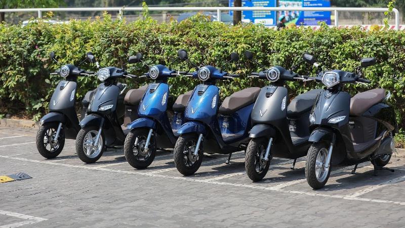 Hình ảnh minh họa cây xanh tươi tốt và dòng nước chảy, biểu tượng mệnh Mộc và sự tương sinh với mệnh Thủy